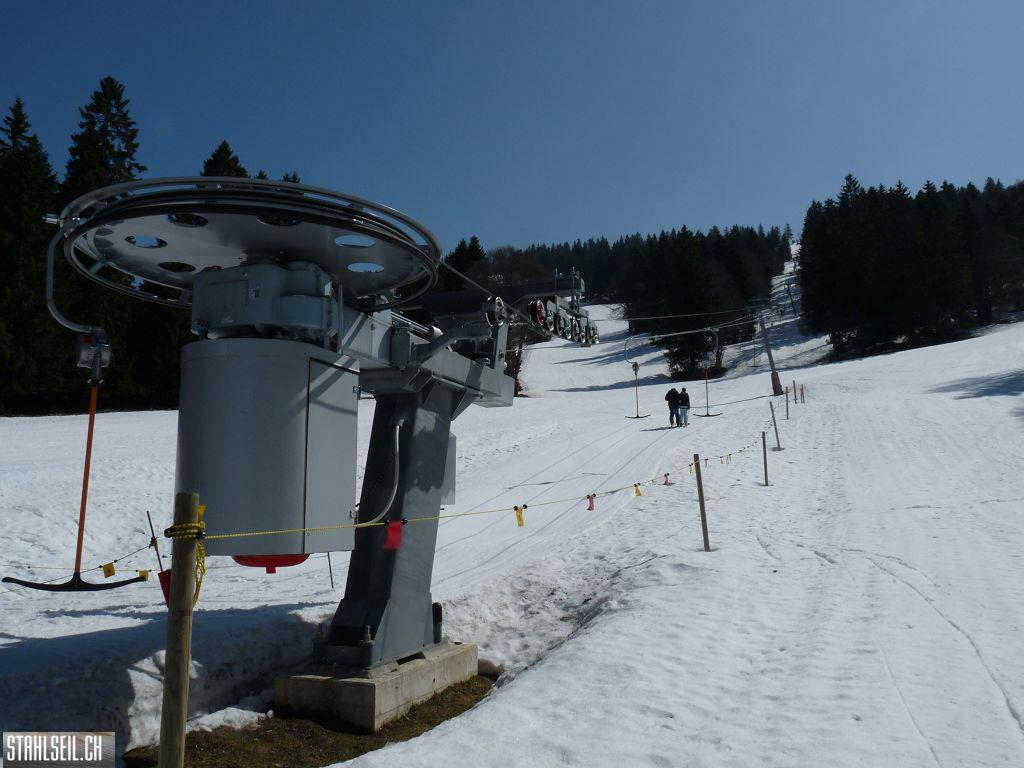 k-P1110429.JPG