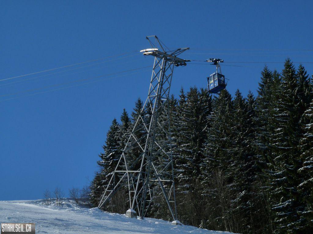 k-P1310290.JPG