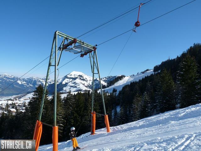 k-P1310396.JPG