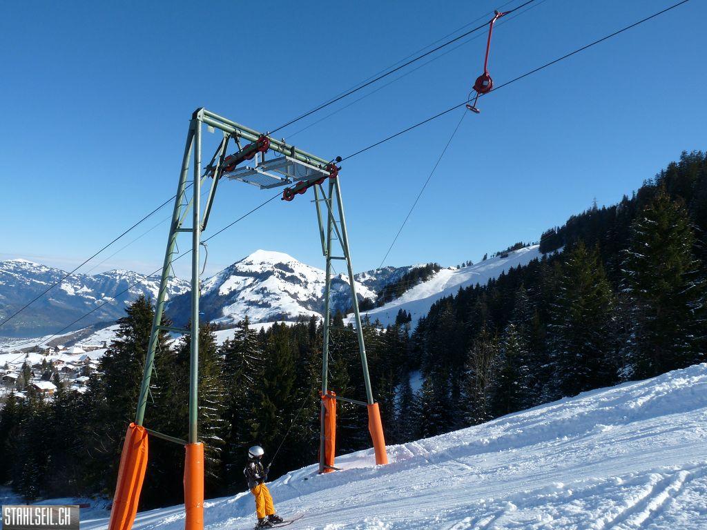 k-P1310396.JPG