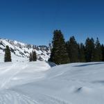 k-P1310470.JPG