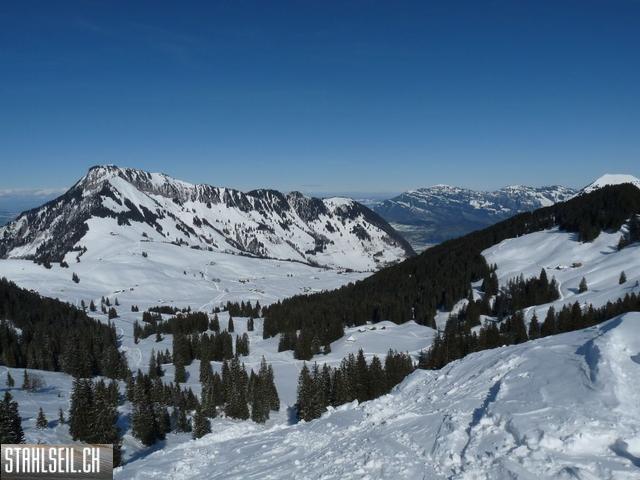 k-P1310564.JPG