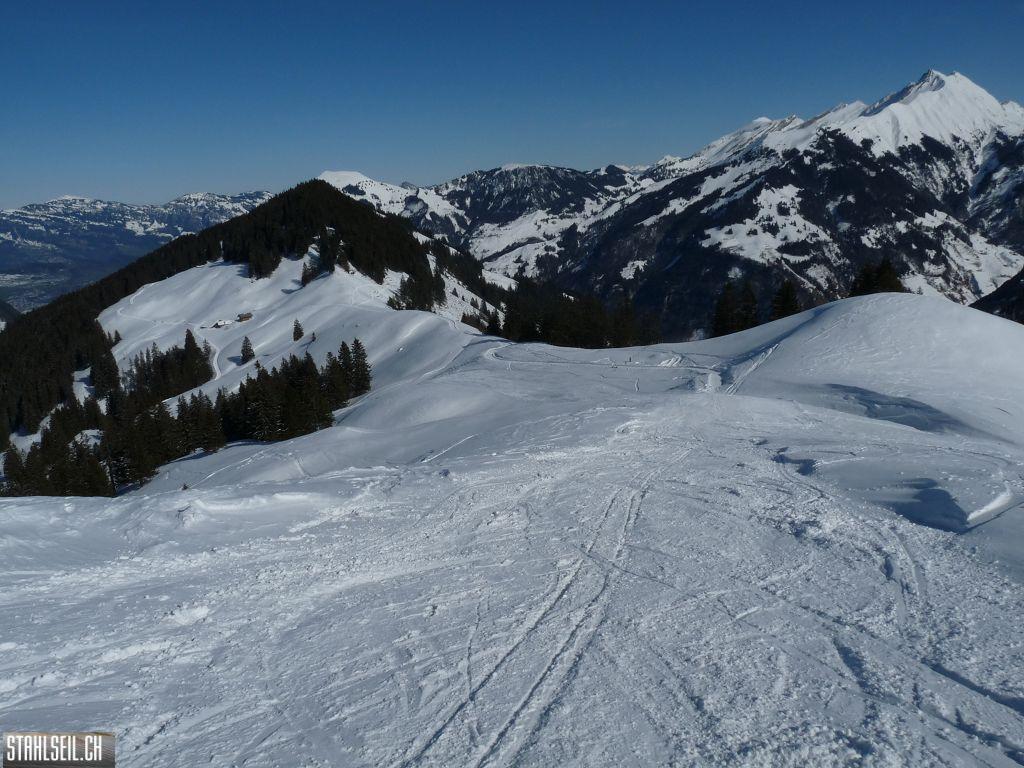 k-P1310568.JPG