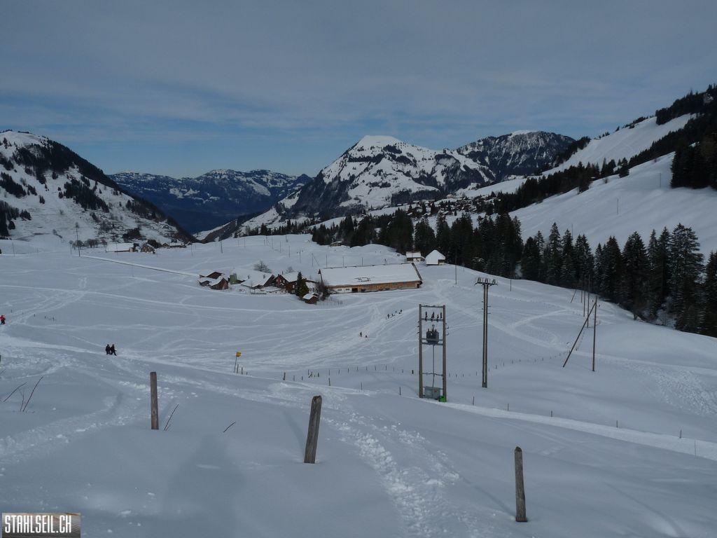 k-P1310570.JPG