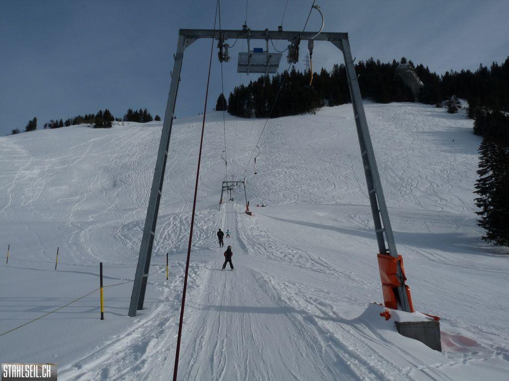 k-P1310593.JPG