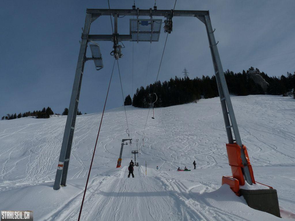 k-P1310594.JPG