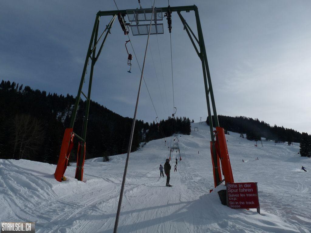 k-P1310573.JPG