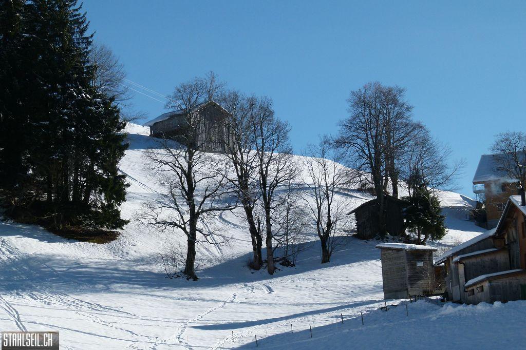 k-P1560124.JPG
