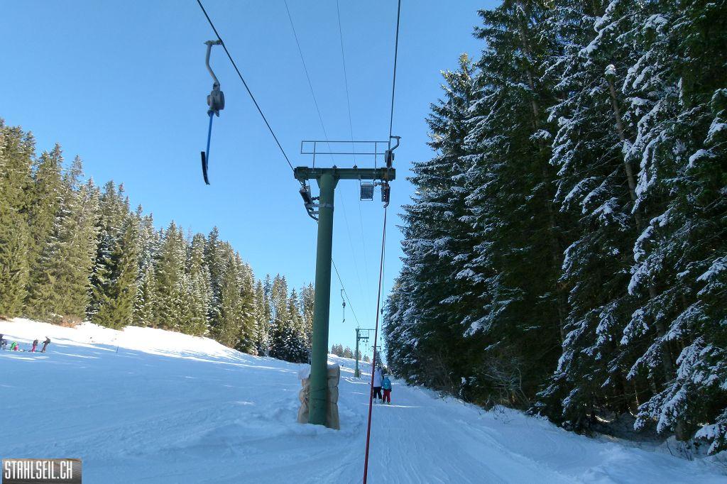k-P1550979.JPG