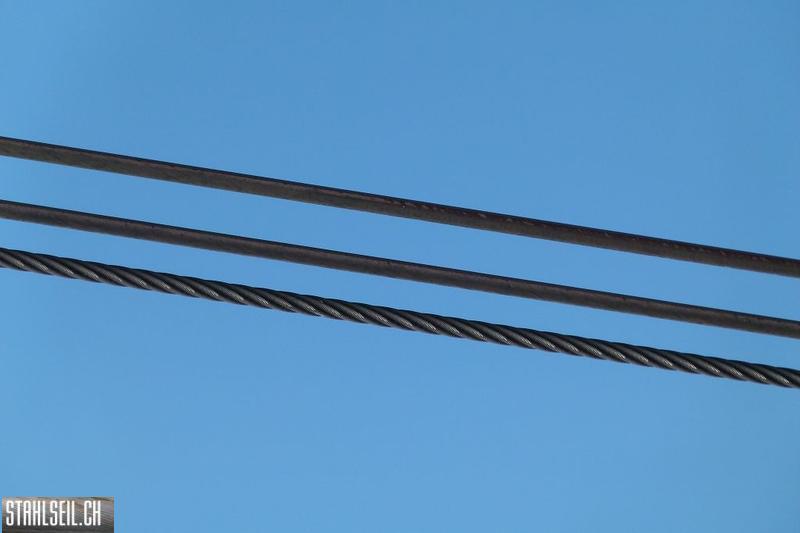 k-P1560162.JPG