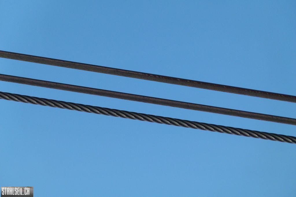 k-P1560162.JPG