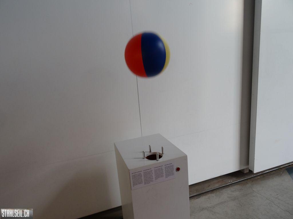 k-DSC01970.JPG