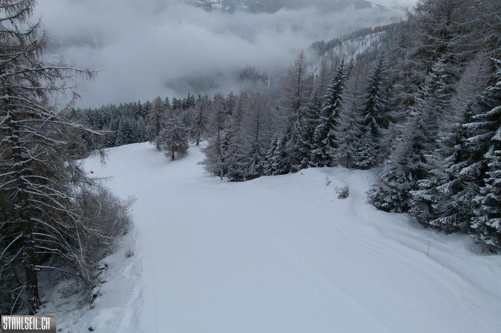 k-P1050296.JPG