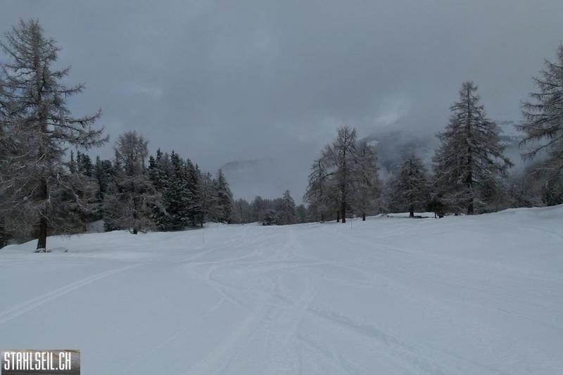 k-P1050338.JPG