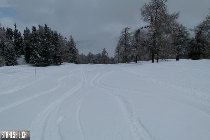 k-P1050339.JPG