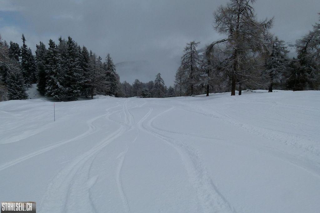 k-P1050339.JPG
