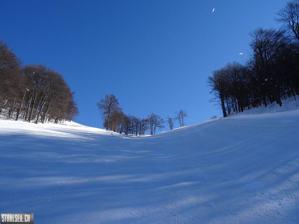 k-DSC02244.JPG