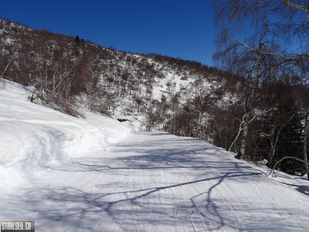 k-DSC02277.JPG