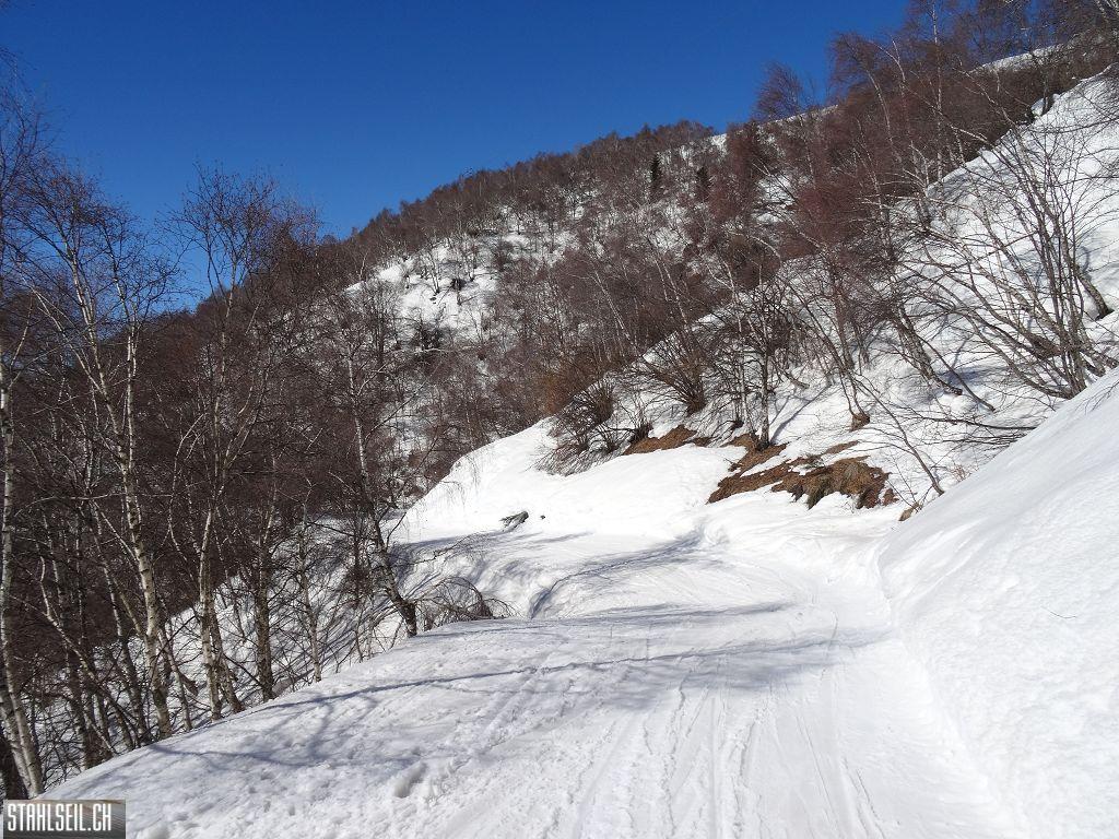 k-DSC02285.JPG