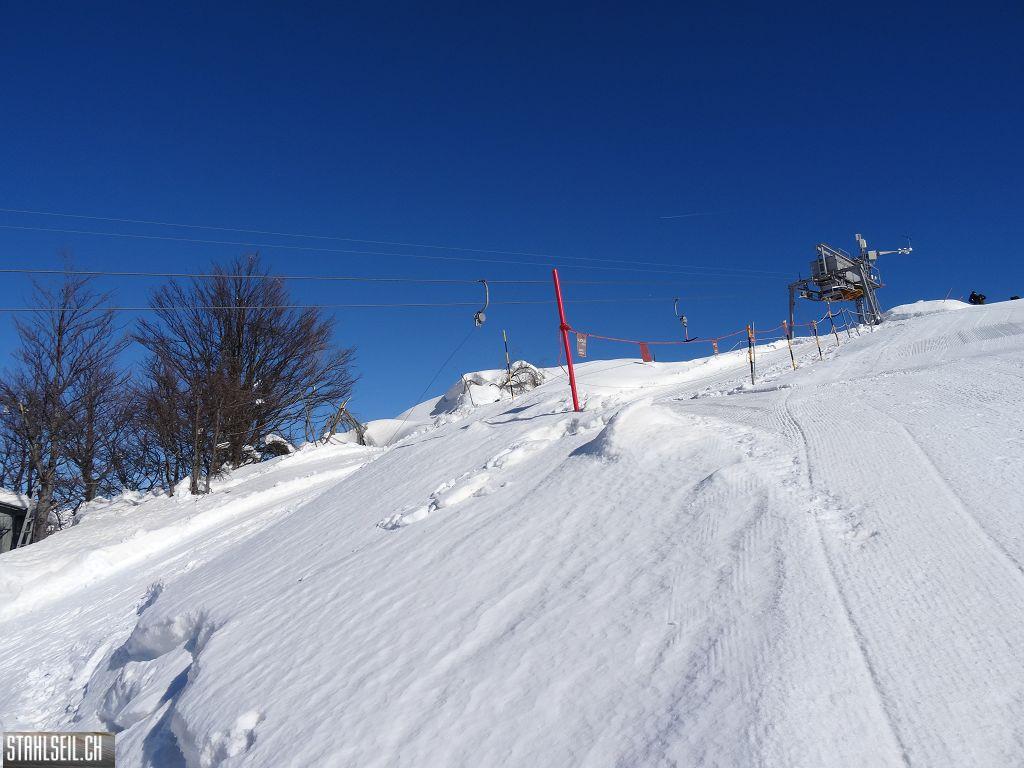 k-DSC02435.JPG
