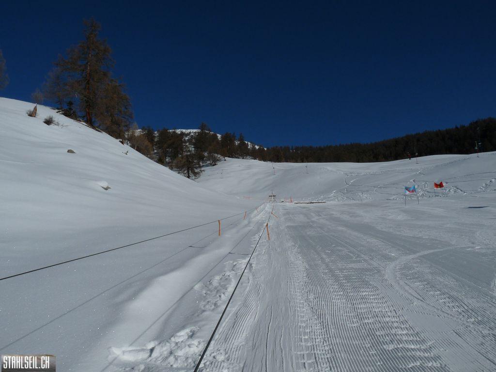k-P1260898.JPG