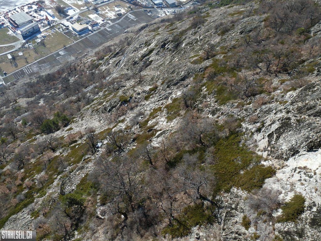 k-P1260990.JPG