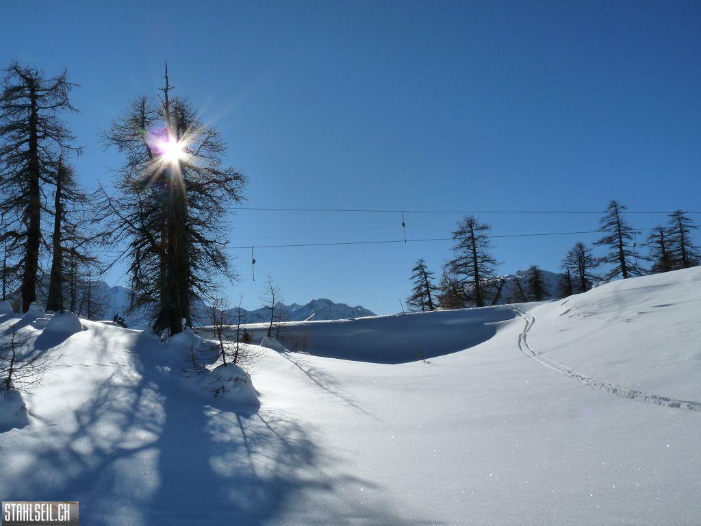 k-P1270052.JPG