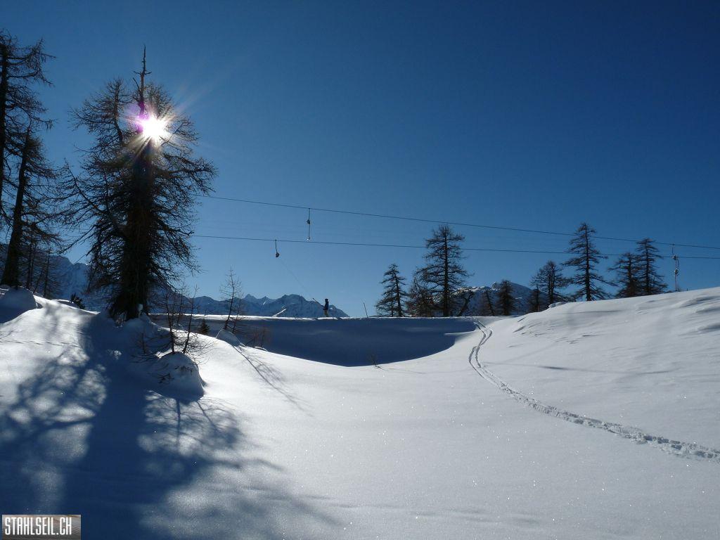 k-P1270053.JPG