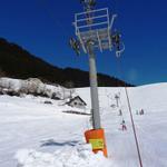k-DSC03852.JPG