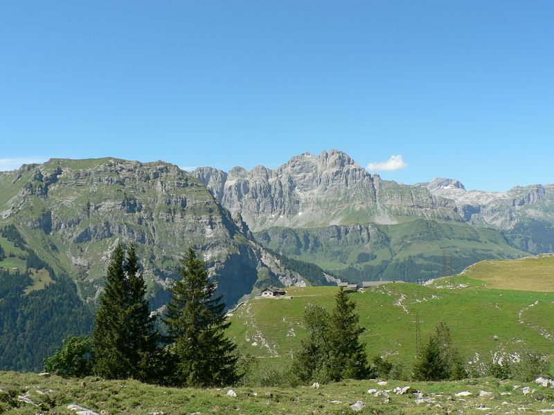 k-P1390076.JPG