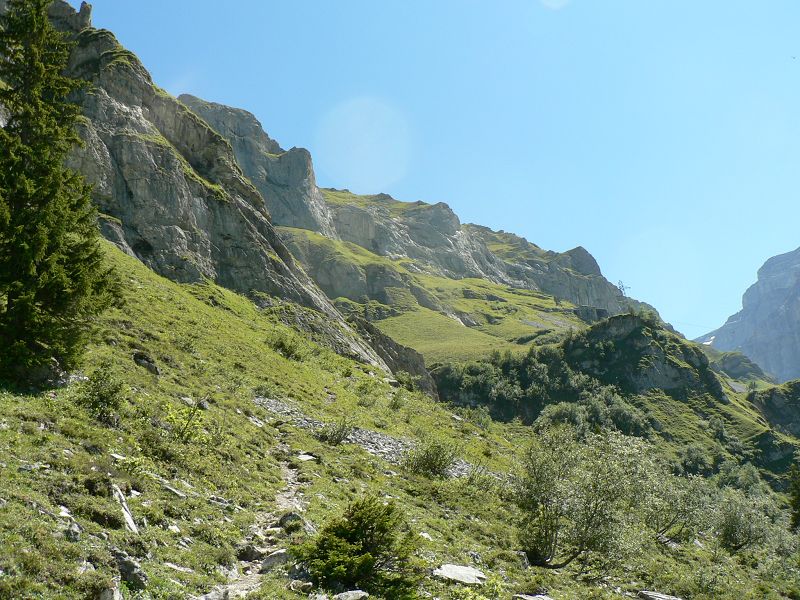 k-P1390078.JPG