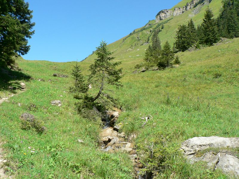 k-P1390085.JPG