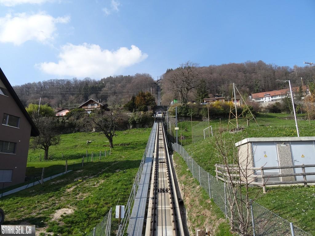 k-DSC05826.JPG