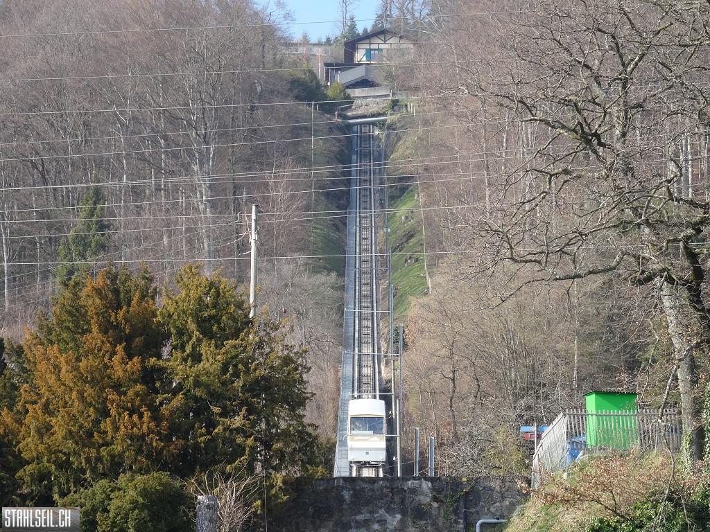 k-DSC05836.JPG