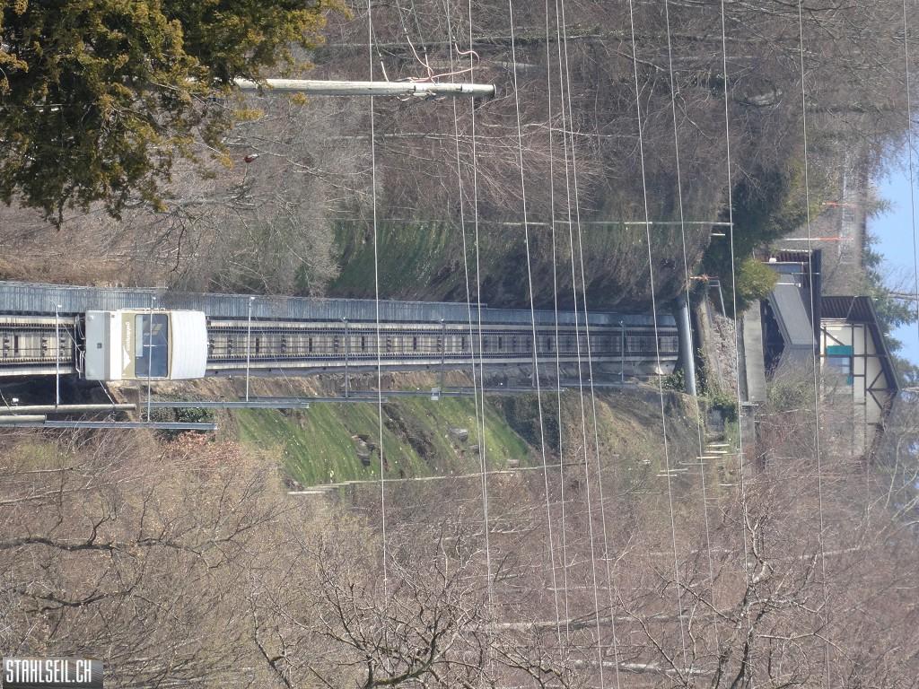 k-DSC05838.JPG