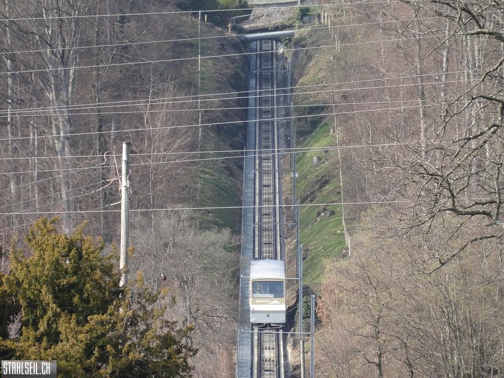 k-DSC05839.JPG