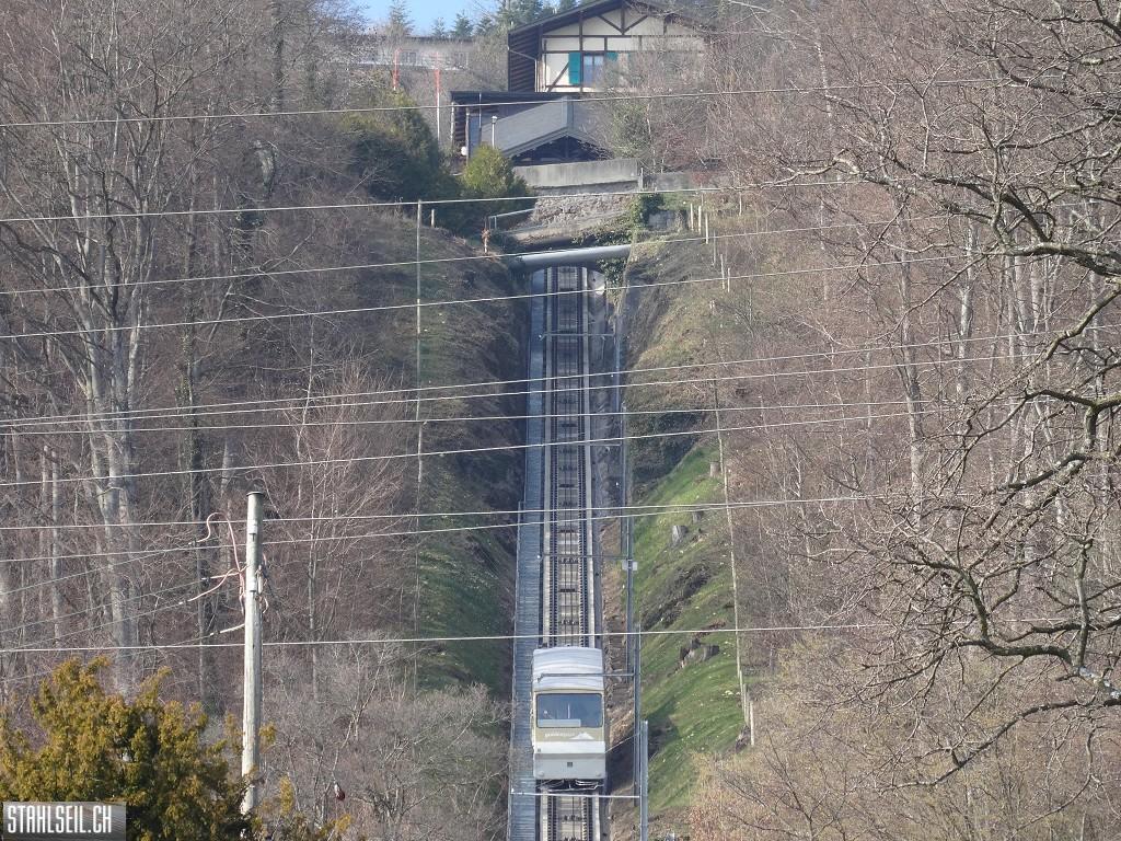 k-DSC05840.JPG