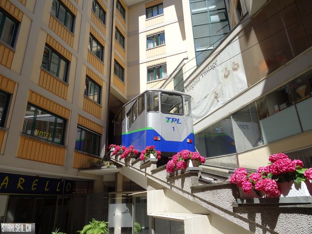 k-DSC06187.JPG