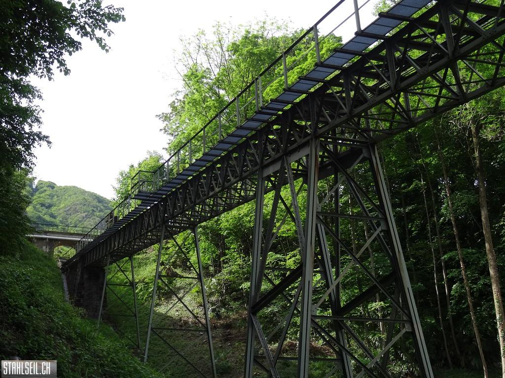k-DSC06290.JPG