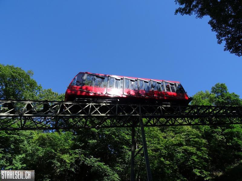 k-DSC06370.JPG