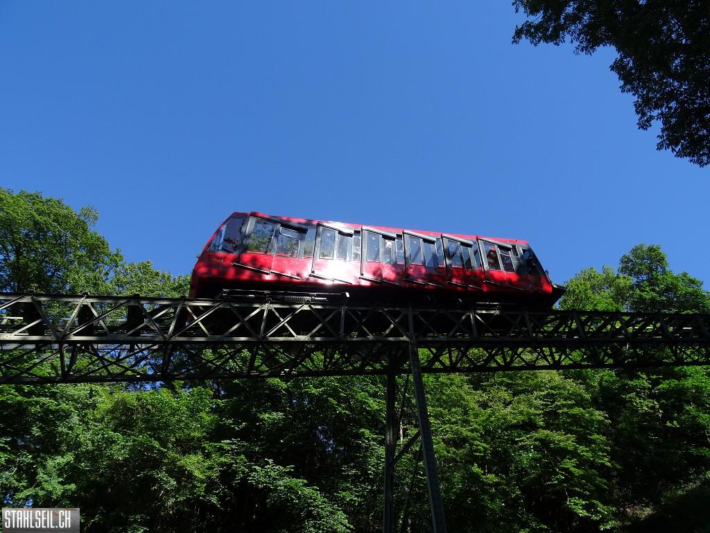 k-DSC06370.JPG