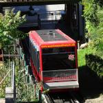 k-DSC06385.JPG