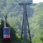 k-DSC07411.JPG