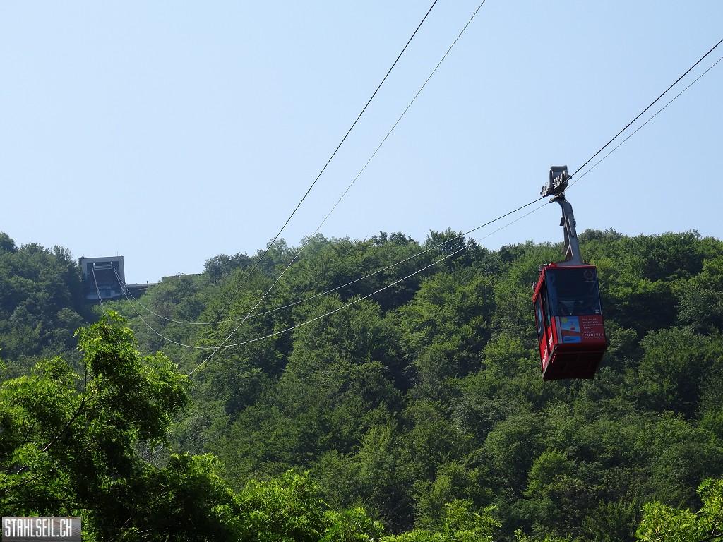 k-DSC07433.JPG