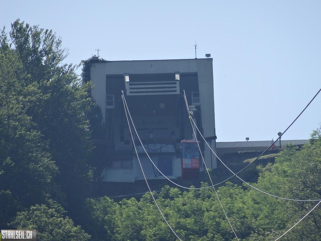 k-DSC07450.JPG