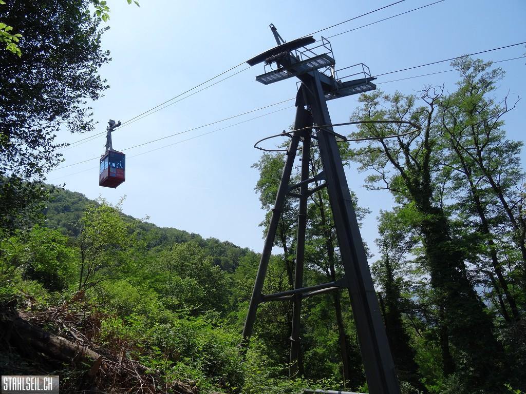 k-DSC07461.JPG