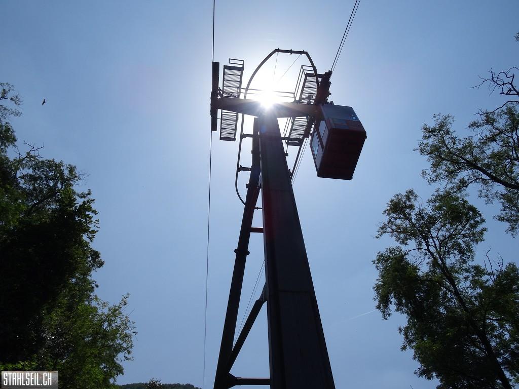 k-DSC07475.JPG