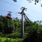 k-DSC07485.JPG