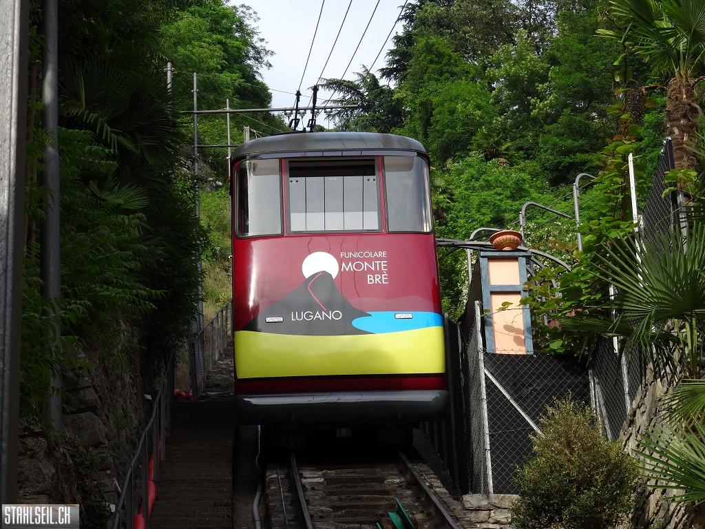 k-DSC07131.JPG