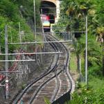 k-DSC07145.JPG